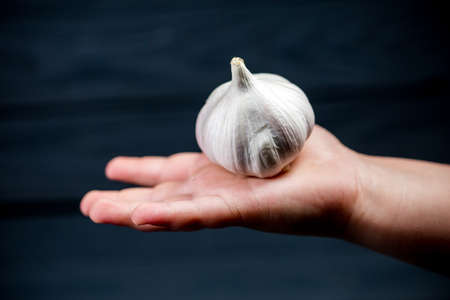 The head of garlic in a small child's hand on a wooden backgroundの写真素材