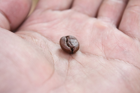 beans coffee on handの写真素材