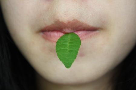 summer green leaf on mouthの写真素材