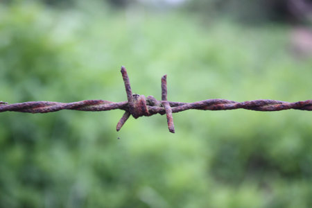 old rusty barbed wire