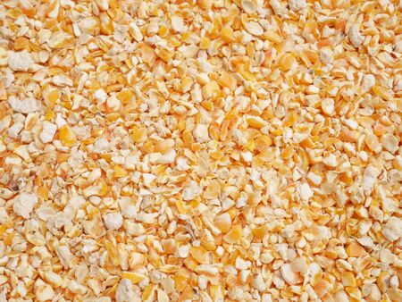 Background texture of corn seed and grain mix for livestock and bird feed as a dietary supplement for the animalsの写真素材