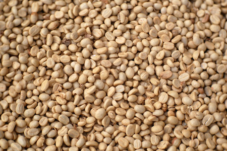 dry coffee seed background, organic coffee beans
