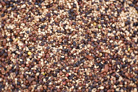 dry coffee seed background. organic white coffee beans