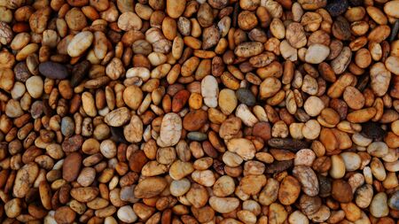 brown pebble beach stone backgroundの写真素材