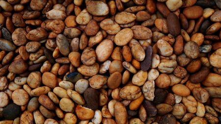 brown pebble beach stone backgroundの写真素材