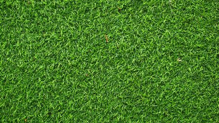 green grass field background, food ball field textureの写真素材