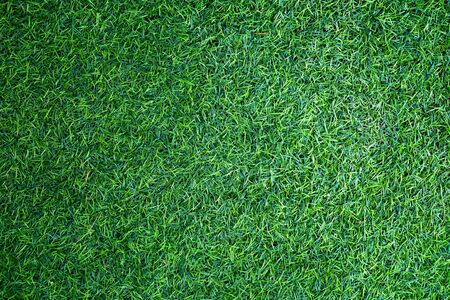 green grass field background, food ball field textureの写真素材