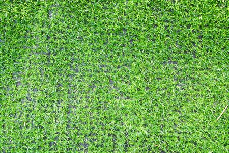 green grass field background, food ball field textureの写真素材