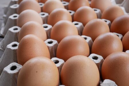 fresh eggs in a basket concept healthy foodの写真素材