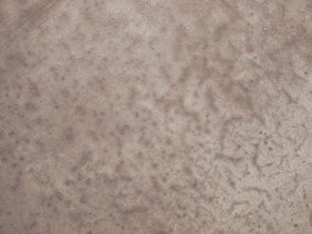 concrete stone wall for background, abstract cement texture