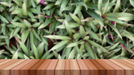 water drop on green grass and wooden table for product displayの写真素材