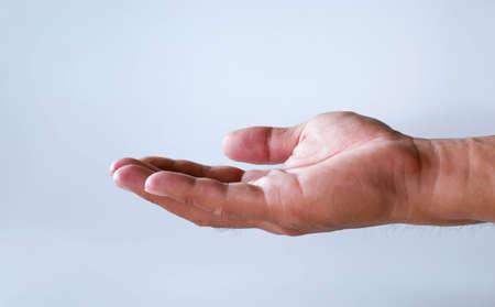 beautiful elegant hand show gesture white backgroundの写真素材