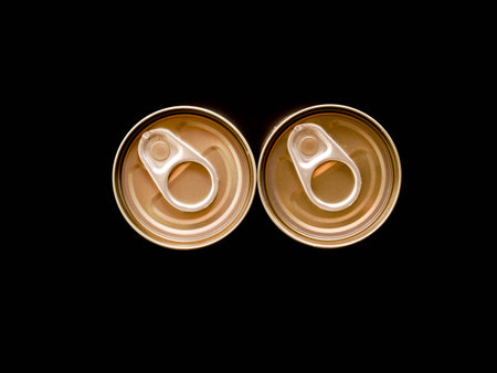 canned isolated on background, canned food