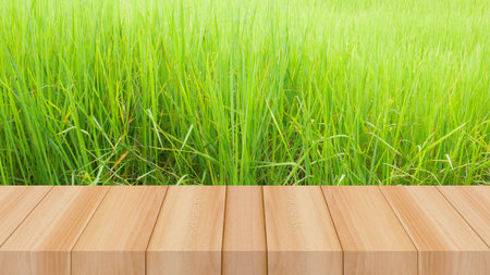 green grass field and wood floor