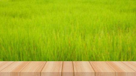 green grass field and wood floor
