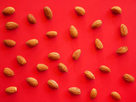 dried almond nut, almond seed isolated backgroundの写真素材