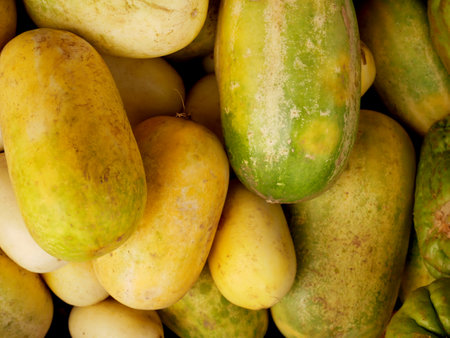 cantaloupe for sale in fruit markets. Growing and caring for cantaloupeの写真素材