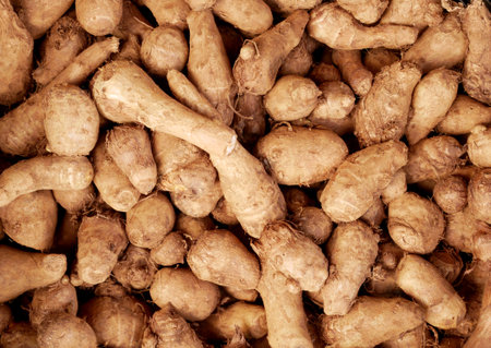 Fresh organic ginger on fresh market in Chineseの写真素材