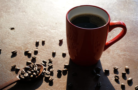 fresh organic coffee beans