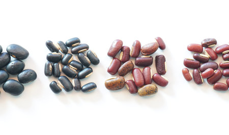 Assortment of many kinds of beans, nuts for animal feed