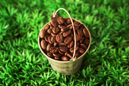 Coffee beans in a bucket on green grass background, top viewの写真素材