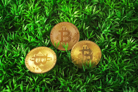 Golden Bitcoins on green grass background. Cryptocurrency, Digital money.の写真素材