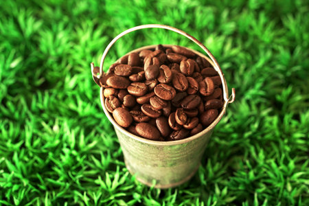 Coffee beans in a small bucket on green grass background.の写真素材