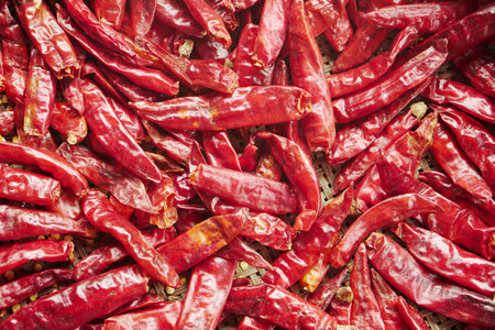Dried red hot chili peppers for sale at local market in Indiaの写真素材
