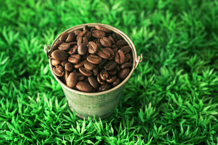 Coffee beans in bucket on green grass background, closeupの写真素材