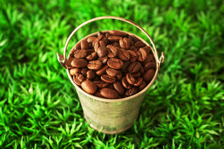 Coffee beans in a bucket on green grass background, close upの写真素材