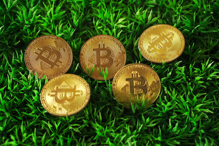 Golden bitcoin on green grass background. Cryptocurrency concept. Digital currency.の写真素材