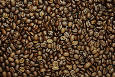 Coffee beans background. Coffee beans texture. Coffee beans backgroundの写真素材
