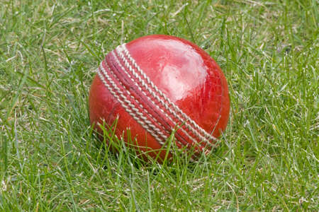 Cricket ball in the grassの写真素材