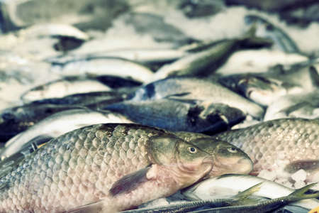 Toned image of fresh fish at the marketの写真素材