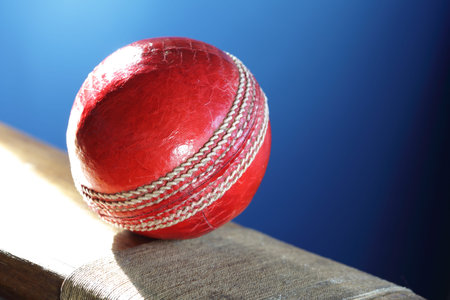 Cricket ball resting on a cricket bat with blue backgroundの写真素材