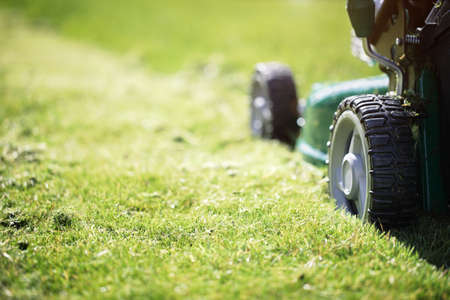 Mowing or cutting the long grass with a green lawn mower in the summer sunの写真素材