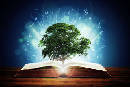 Book or tree of knowledge concept with an oak tree growing from an open book and letters flying from the pagesの写真素材