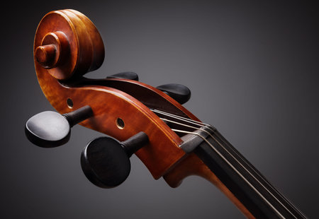 Cello scroll on headstock and tuning pegs