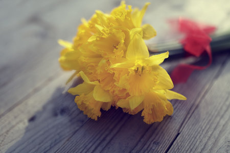 Daffodils fresh cut on wooden tableの写真素材