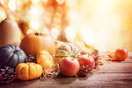 Thanksgiving, fall or autumn greeting background with pumpkin on tableの写真素材