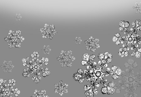Snowflakes falling in the winterの写真素材