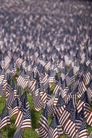 Small American flags in celebration of Memorial Day.の写真素材