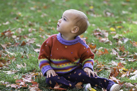 A Toddler Girl Enjoy Autumnの写真素材