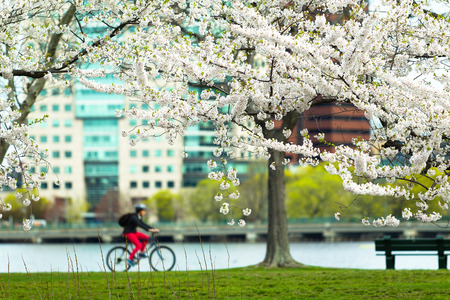 Cycling in spring along the river.の写真素材
