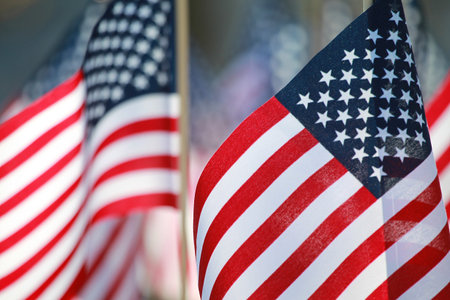 American Flags for celebrating the holiday