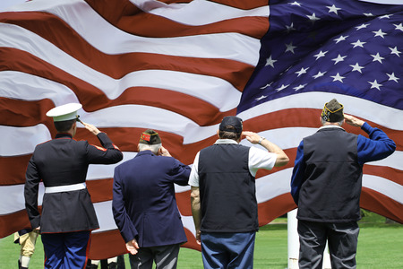 Soldier and Veterans Saluting at Memorial Day Ceremonyのeditorial素材