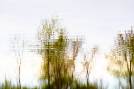 Reflections of trees and bench in the bright morning