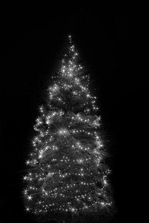 Decorated Christmas tree at the Battle Green at Night, Lexington, MA, USの写真素材