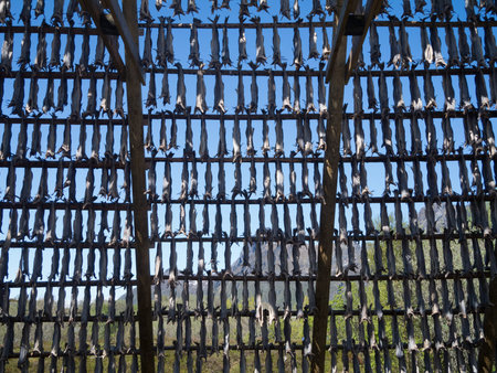 Stockfish