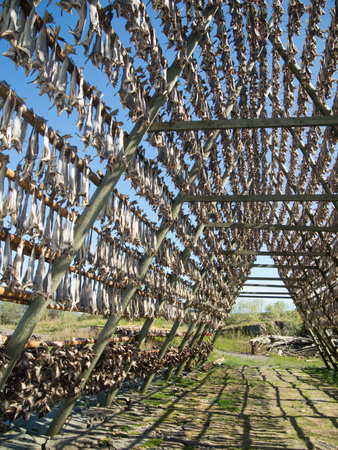 Stockfish